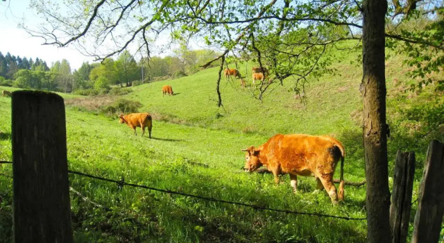 Коттедж с 3 комнатами Moulin du Daumail