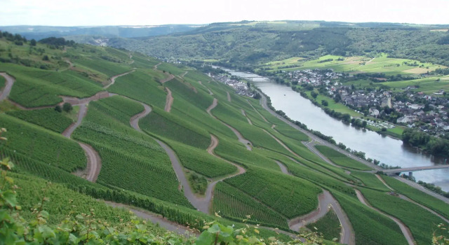 Romantischer Aufenthalt mit Blick auf den Weinberg, Забронировать Апартаменты/квартира Трабен-Трарбах Мозель - Германия