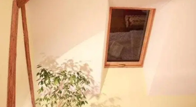Family House