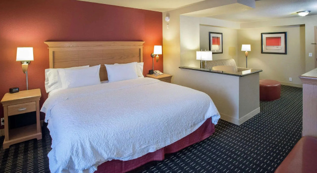 Двухместный люкс Hampton Inn Pensacola-Airport
