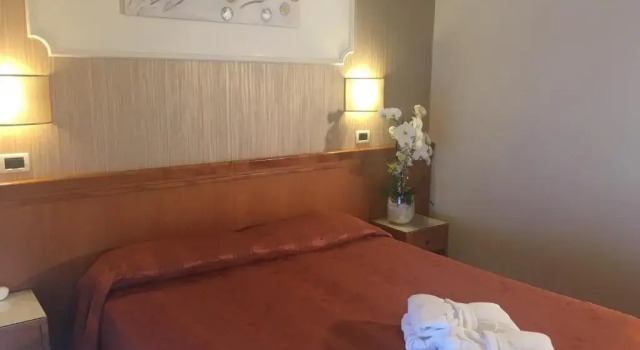 Двухместный номер Standard Hotel Alexander