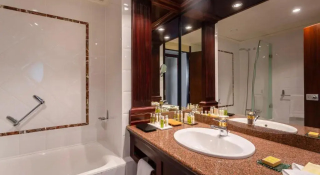 Двухместный номер Guest Hilton Strasbourg