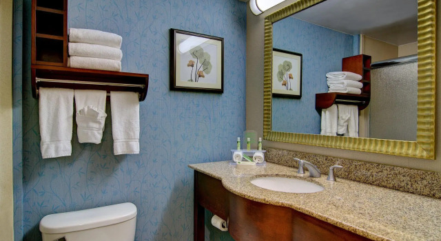 Standard- dobbelt værelse Hampton Inn Germantown/Gaithersburg