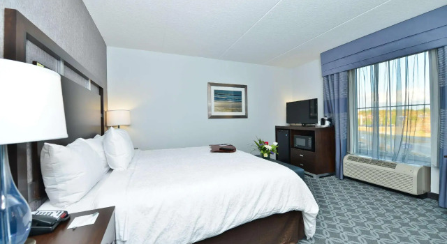 Двухместный номер Standard Hampton Inn & Suites Columbia/Southeast-Fort Jackson