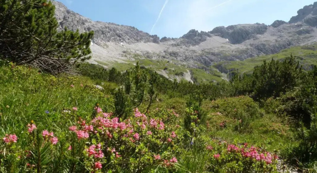Апартаменты Auszeit im Allgäu