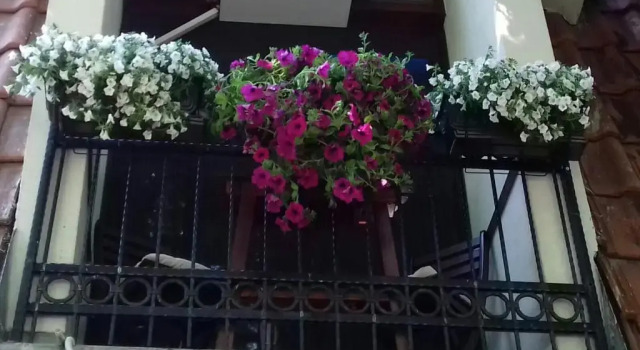 Blue Danube Apartment, Buchen Sie Ferienwohnung Zemun 