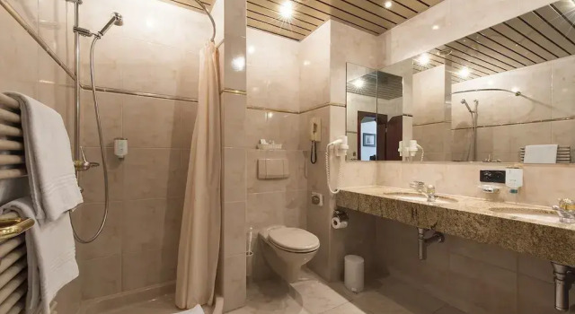 Двухместный номер Standard Bad Horn - Hotel & Spa