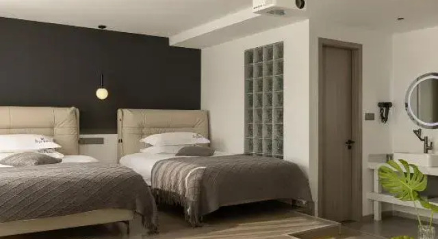 Двухместный люкс Wuzhen View Homestay