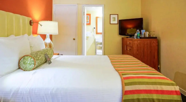 Двухместный номер Hotel Del Sol