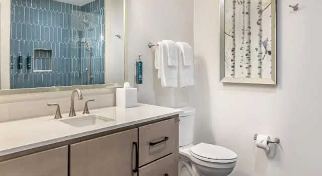 Двухместная студия Hilton Vacation Club Mill Springs Lodge Pigeon Forge
