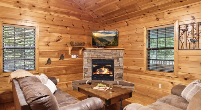 Lucky Cub Cabin