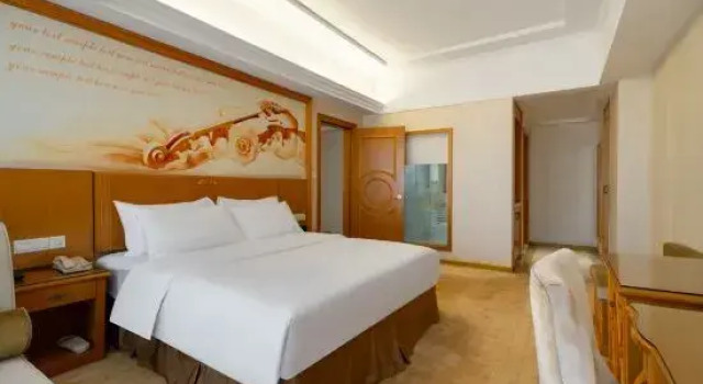 Люкс Deluxe Vienna Hotel Shenzhen Shiyan Bus Station