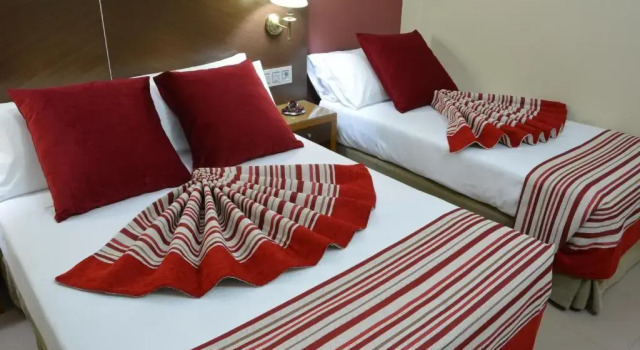 Трёхместный номер Standard Hotel Regio 2