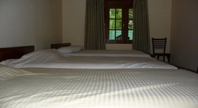 Wild Wild Holiday Resort