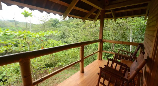 Бунгало Macaw Lodge
