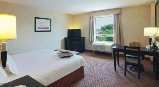 Номер Standard Hampton Inn by Hilton Ciudad Victoria