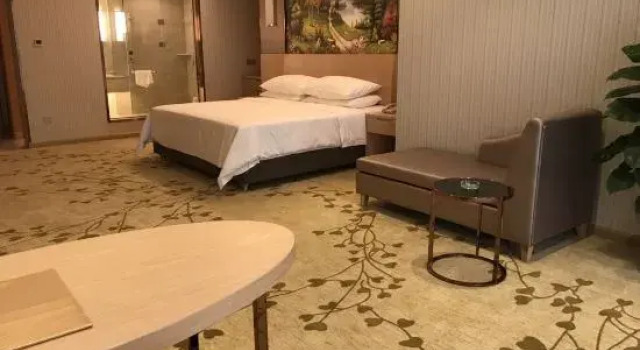 Люкс Deluxe Vienna International Hotel (Li County Administrative Center New District)