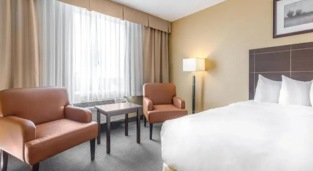 Номер Standard Quality Inn & Suites