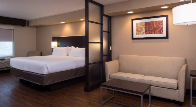 Двухместный люкс Holiday Inn Express & Suites San Antonio Medical - Six Flags by IHG