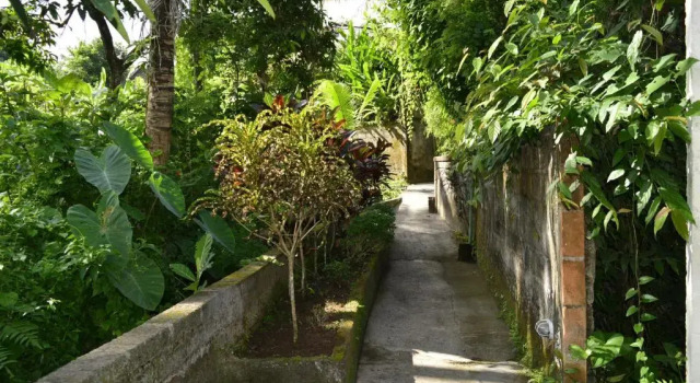 Villa 3 Zimmer Villa Bindi