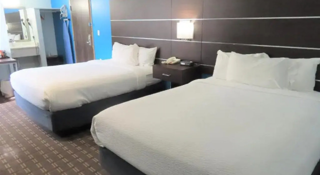 Четырёхместный номер Standard St Charles Hotel Downtown Hudson