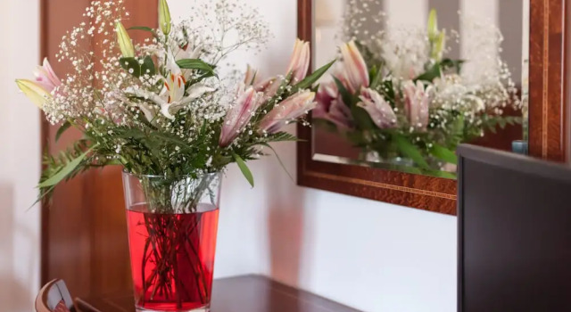 Четырёхместный номер Standard Hotel Unzaga Plaza