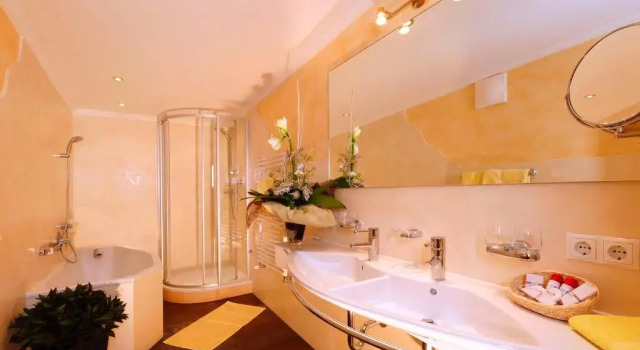 Люкс Hotel Regina