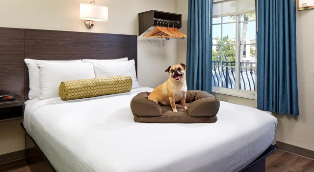 SureStay Hotel by Best Western San Diego Pacific Beach