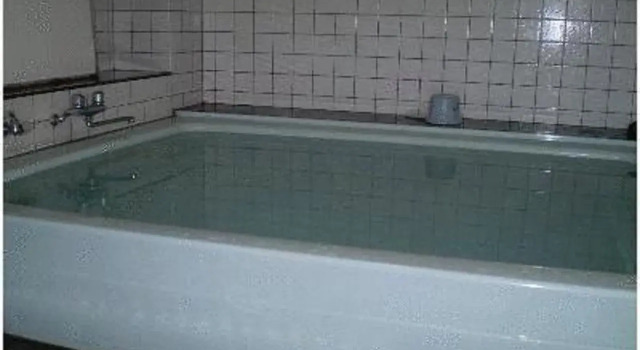 Ikawa Ryokan