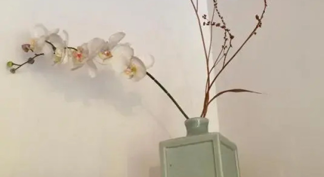 Номер Standard Les Petits Gallais