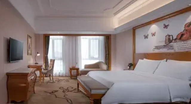 Люкс Deluxe Vienna International Hotel (Jilin Guotou Zhongdong)