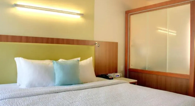 Люкс SpringHill Suites by Marriott Scranton Montage Mountain