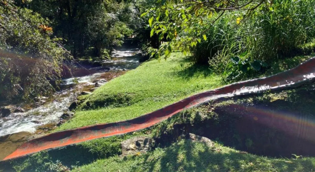 Chalé Truta da Floresta