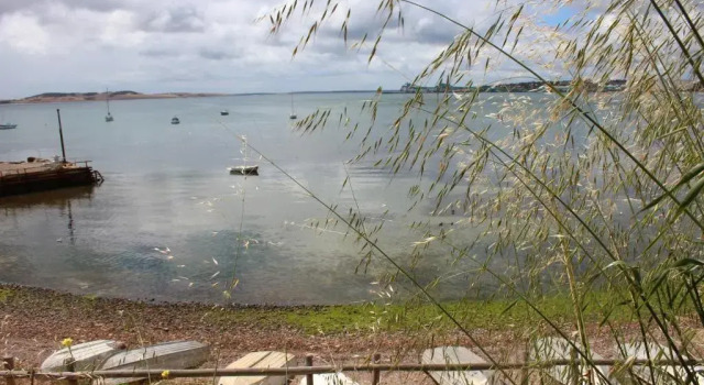 Коттедж с 3 комнатами My Port Lincoln Place