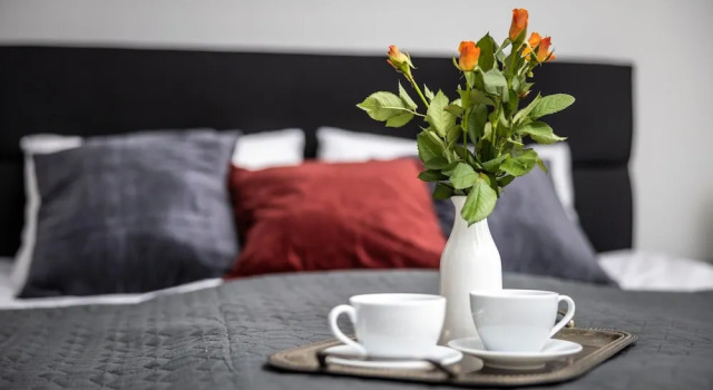 Апартаменты Deluxe Asana Apartament by Dream