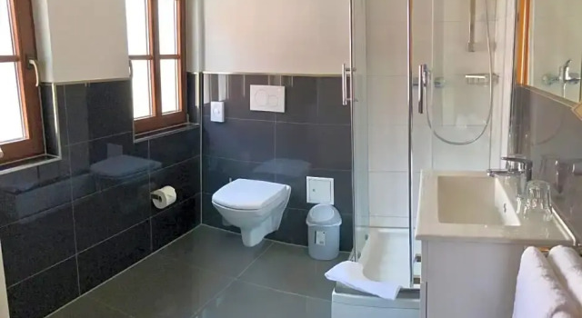 Номер Deluxe Hotel-Gasthaus Schwanen
