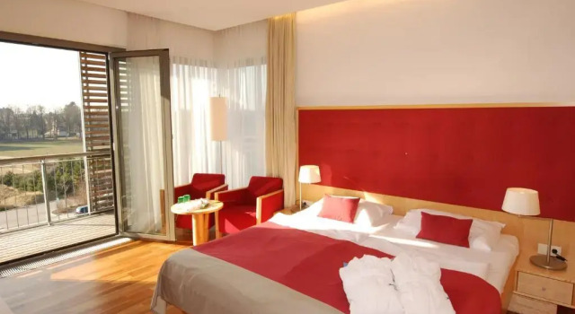 Двухместный номер Superior с балконом Therme Laa Hotel Silent Spa Villas