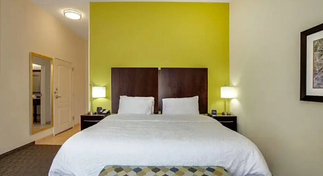 Suite Hampton Inn Ozark