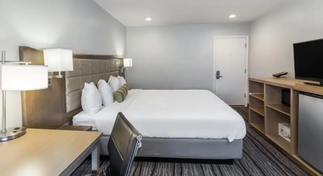 Номер Standard Sather Berkeley - SureStay Collection by Best Western