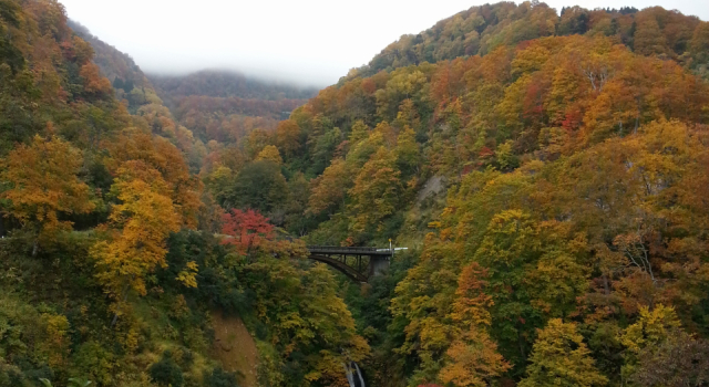関温泉 吉野屋温泉旅館, Prenota Hotel Myoko Myoko