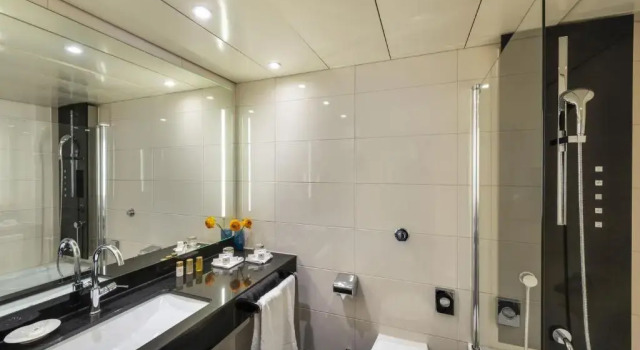 Двухместный номер Superior Maritim Hotel Ulm