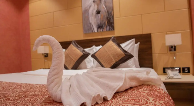 Номер Deluxe Sonia Hotel