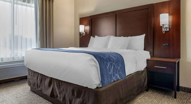 Двухместный люкс Comfort Suites Pell City near Logan Martin Lake
