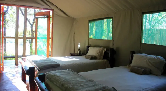Mtomeni Safari Camp, Забронировать Кемпинг Кемпинги и глэмпинги Пхалаборва, Кемпинг