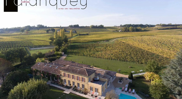 Полулюкс Chateau du Palanquey & SPA