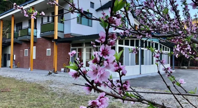 LofuSky B&B, Prenota Bed & breakfast Hotel a Taoyuan Municipality con parcheggio, Parcheggio