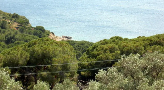 Villa Bartolini, Rezervovat Vila Hotely v Elba s parkováním, Parkování