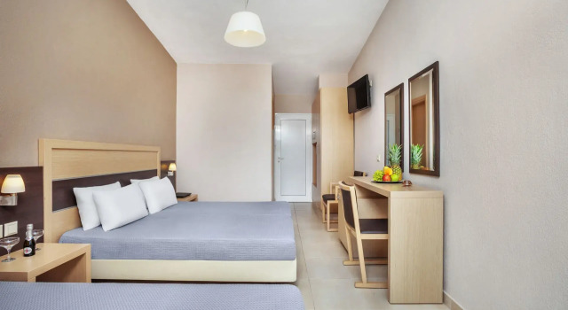 Трёхместный номер Standard Iris Hotel