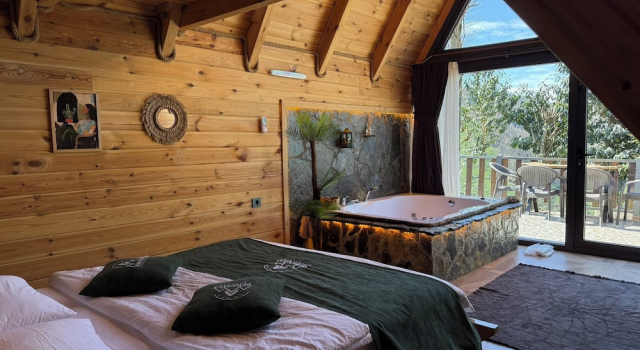 Номер Business RİZE SERENİTY BUNGALOV