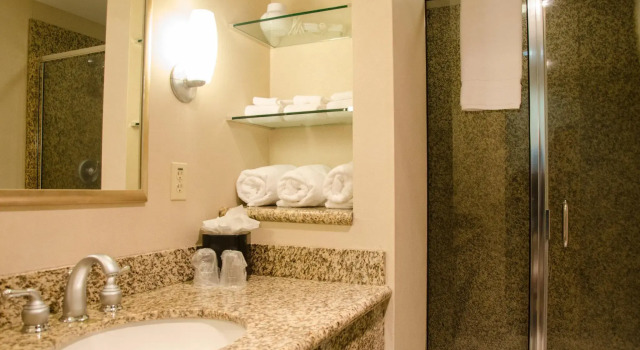 Номер Executive Holiday Inn Hotel Pewaukee-Milwaukee West by IHG